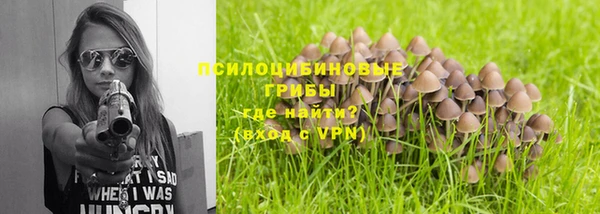 mdpv Алзамай